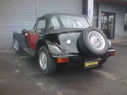 画像6: パンサー　リマ    ASK