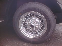 画像10: パンサー　リマ    ASK