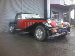 画像3: パンサー　リマ    ASK