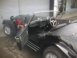 画像12: パンサー　リマ    ASK