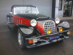 画像4: パンサー　リマ    ASK