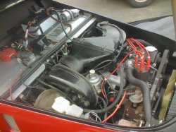 画像16: パンサー　リマ    ASK