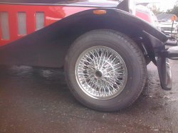 画像8: パンサー　リマ    ASK