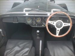 画像11: パンサー　リマ    ASK